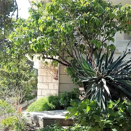Appartement Stone House Buzolic *